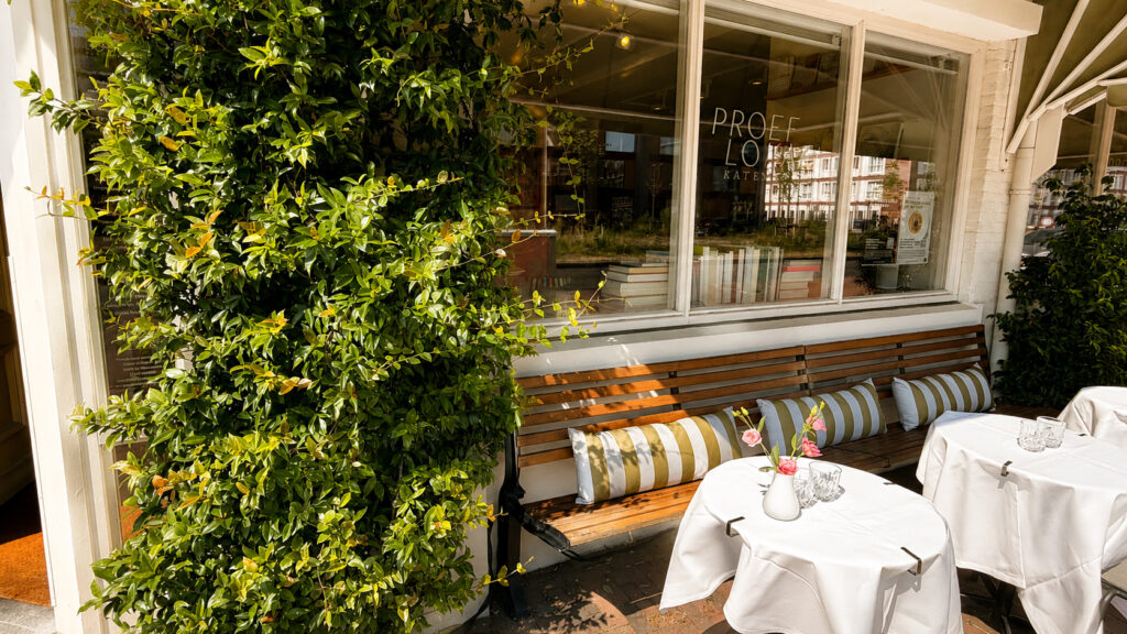 terras zon proeflokaal Katendrecht